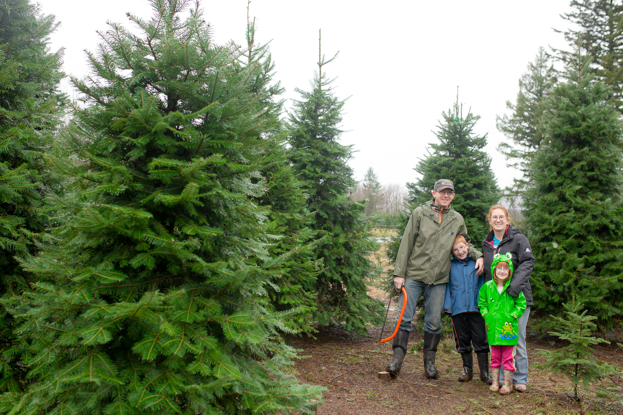 christmas tree cutting with the grozell s chilliwack christmas tree cutting with the grozell s chilliwack