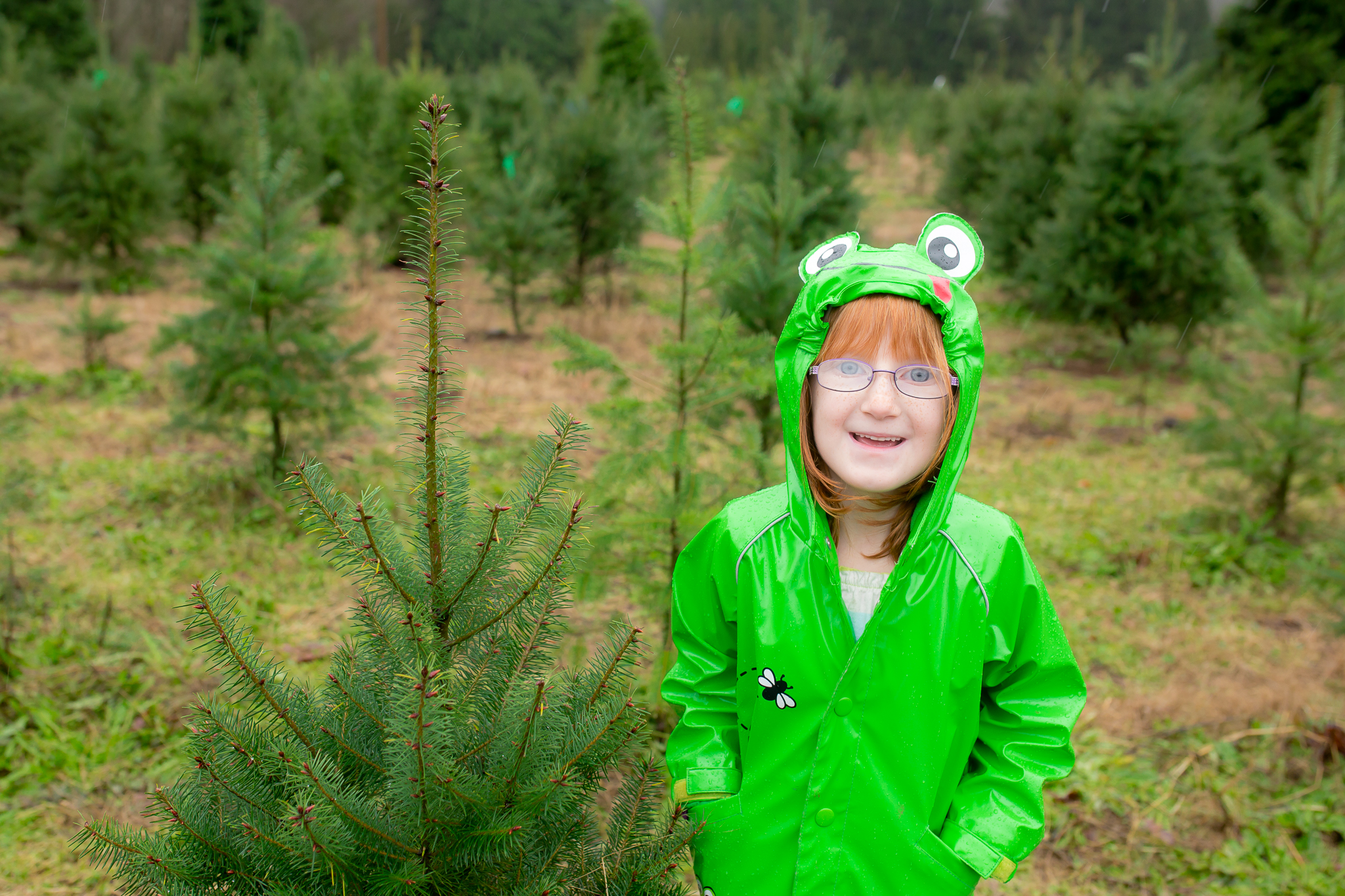 christmas tree cutting with the grozell s chilliwack christmas tree cutting with the grozell s chilliwack