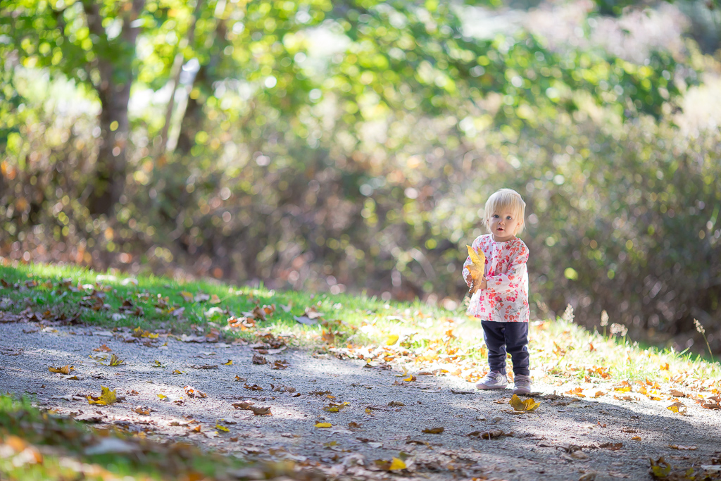 langley family photographer at portage park stefanie langley family photographer at portage park stefanie