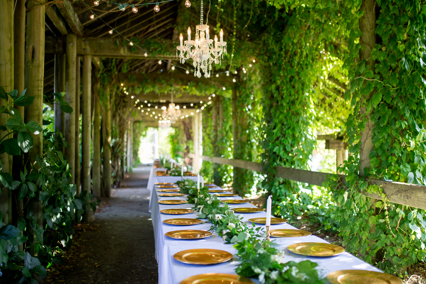 UBC Botanical Garden Wedding Photography – Stef & Ryan | Langley & Vancouver Island ...1400 x 933